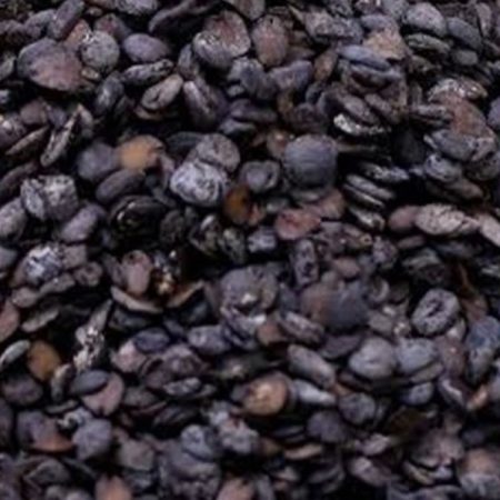 Locust Beans (Iru /Dawadawa)